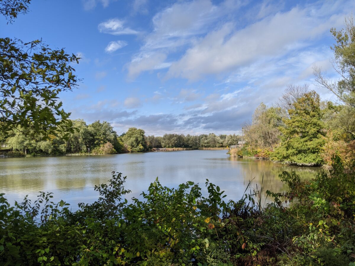 Toogood Pond