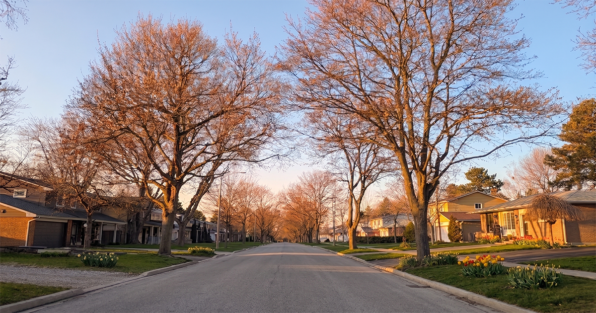 Typical Markham Streetscape