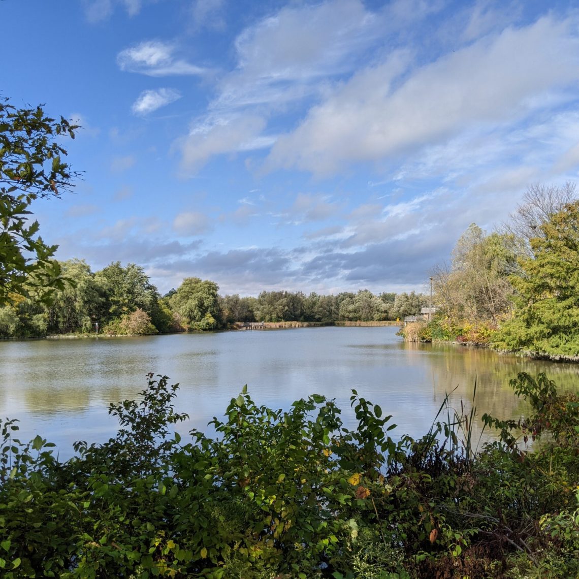 Toogood Pond